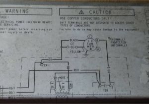 Camstat Fan Limit Control Wiring Diagram Capacitor for Furnace Blower Wiring Diagram Wiring Library