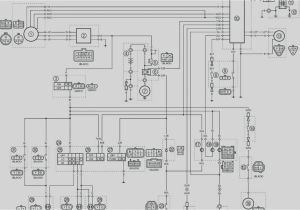 Can Am Maverick Wiring Diagram Suzuki Maverick Wiring Diagram Wiring Diagrams Value
