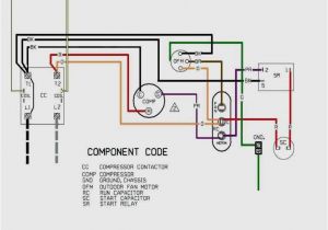 Capacitor Wiring Diagram Single Phase Capacitor Start Capacitor Run Motor Wiring Diagram