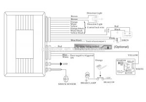 Car Alarm Wiring Diagram Octopus Car Alarm Wiring Diagram Wiring Diagram Host Car Alarm Wiring Diagram Octopus Car Alarm Wiring Diagram Wiring Diagram Host