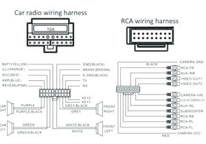 Car Audio Wiring Diagrams St Focus Stereo Wiring Diagram Wiring Diagram Rules
