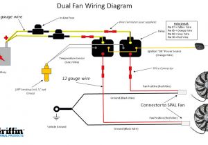 Car Electric Fan Wiring Diagram Painless Ls Wiring Diagram for Dual Fans Wiring Diagram Blog