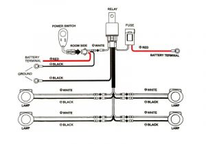 Car Spotlight Wiring Diagram 4 X Auxiliary Spotlight Wiring Kit for Cars 4×4 Trucks Vans Pick Ups Dune Buggies