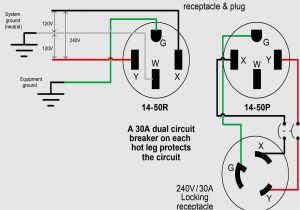 Car Trailer 7 Pin Wiring Diagram Unique Trailer Wiring Diagram Australia 7 Pin Flat Outlet