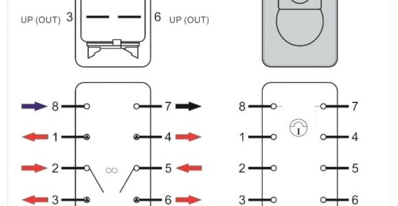 Carling Switch Wiring Diagram 5 Pin Ho 6055 Winch Rocker Switch Wiring Diagram Schematic Wiring
