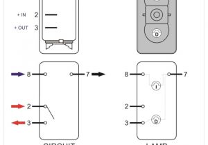 Carling Switch Wiring Diagram How to Wire Our Rocker Switch Wiring Diagram Show