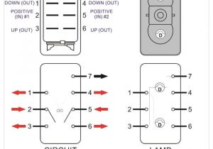 Carling Switch Wiring Diagram Mcgill Wiring Diagram Book Diagram Schema