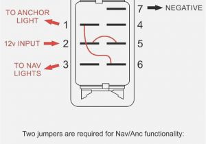Carling Switches Wiring Diagram Carling Technologies Rocker Switch Wiring Diagram Adanaliyiz org Carling Switches Wiring Diagram Carling Technologies Rocker Switch Wiring Diagram Adanaliyiz org