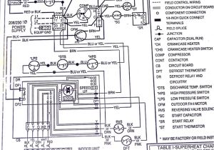Carrier Air Conditioner Wiring Diagram Split Schematic Wiring Wiring Diagram