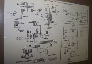 Carrier Blower Motor Wiring Diagram Armstrong Hvac Blower Wiring Wiring Diagram Files Carrier Blower Motor Wiring Diagram Armstrong Hvac Blower Wiring Wiring Diagram Files