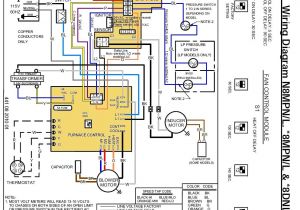Carrier Gas Furnace Wiring Diagram Gama Gas Furnace Wiring Wiring Diagram Blog