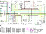 Carter Talon Wiring Diagram Znen 150cc Gy6 Ignition Wiring Diagram Wiring Diagram Center