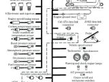 Cat 40 Pin Ecm Wiring Diagram Cat Ecm Pin Wiring Diagram Wiring Diagram Technic