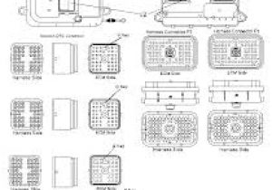 Cat 40 Pin Ecm Wiring Diagram Cat Ecm Pin Wiring Diagram Wiring Diagram Technic