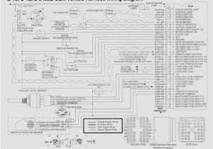 Cat 40 Pin Ecm Wiring Diagram Caterpillar D3 Wiring Harness Wiring Diagram Rows