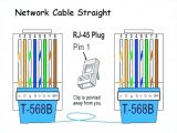 Cat 5 B Wiring Diagram Wiring Diagram Cat5 B Wiring Diagram Basic Cat 5 B Wiring Diagram Wiring Diagram Cat5 B Wiring Diagram Basic