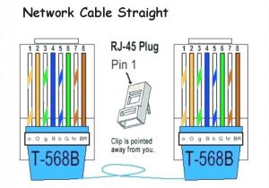 Cat 5 B Wiring Diagram Wiring Diagram Cat5 B Wiring Diagram Basic Cat 5 B Wiring Diagram Wiring Diagram Cat5 B Wiring Diagram Basic