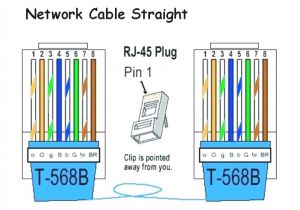 Cat 5 Cable Wiring Diagram Wiring Cat 5 Cable for Phone Wiring Diagram List