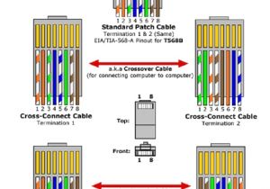 Cat 5 Wiring Diagram B B Cat Wiring Diagram Wiring Diagram for You