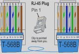 Cat 5 Wiring Diagram Cat 5 Wiring Diagram Pdf Wiring Diagram Technic