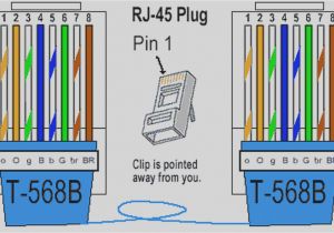 Cat 5a Wiring Diagram Wiring Cat 5 Cable for Phone Data Wiring Diagram Preview