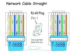 Cat 5b Wiring Diagram Cat 5 Wiring Diagram 58a Wiring Diagram