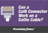 Cat 5e Vs Cat 6 Wiring Diagram Can A Cat6 Connector Work On A Cat5e Cable Platinum toolsa