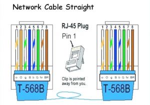Cat 5e Wiring Diagram Pdf Cat 5 Phone Wire Diagram Wiring Diagram Expert