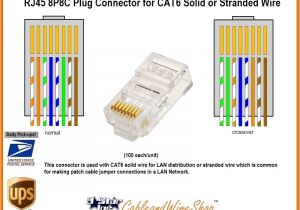 Cat 6 Cable Wiring Diagram Modular Plug Wiring Diagram Database Reg