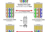 Cat 6 Ethernet Wiring Diagram Cat 6 Wiring Diagram B