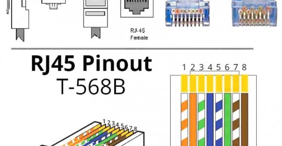 Cat 6 Ethernet Wiring Diagram Cat6 Wiring Diagram