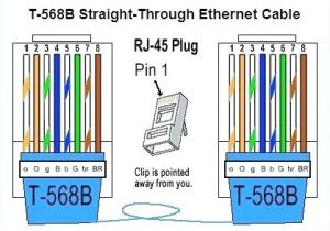 Cat 6 Wiring Diagram 568b Cat 6 Wire Diagram Malochicolove Com Cat 6 Wiring Diagram 568b Cat 6 Wire Diagram Malochicolove Com