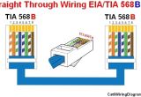 Cat 6 Wiring Diagram 568b Crimp Cat 6 Wire Diagram Wiring Diagram Data