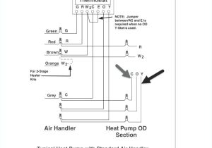 Cat 6 Wiring Diagram for Wall Plates Cat5 Wiring Diagram Plate Wiring Diagram Centre Cat 6 Wiring Diagram for Wall Plates Cat5 Wiring Diagram Plate Wiring Diagram Centre