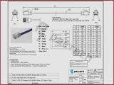 Cat 6 Wiring Diagram Rj45 Cat 6 Wiring Diagram or Utp Wiring Diagram Wiring Diagrams