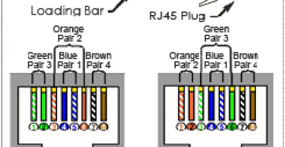 Cat 7 Cable Wiring Diagram Category 7 Cable