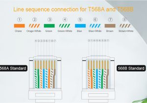 Cat 7 Ethernet Cable Wiring Diagram Cablecreation Cat6 Rj45 Stecker 100 Pack Cat6 Amazon De Cat 7 Ethernet Cable Wiring Diagram Cablecreation Cat6 Rj45 Stecker 100 Pack Cat6 Amazon De