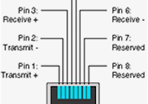 Cat 7 Ethernet Cable Wiring Diagram Cat5 Cat5e Cat6 Cat7 and Cat7a Information