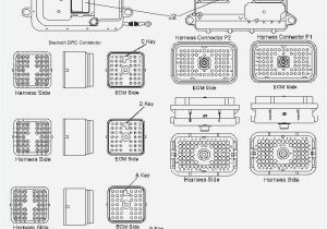 Cat 70 Pin Ecm Wiring Diagram 3126 Ipr Valve Wiring Diagram Wiring Diagram Show