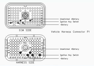 Cat 70 Pin Ecm Wiring Diagram Cat 13 Wiring Diagram Wiring Diagram
