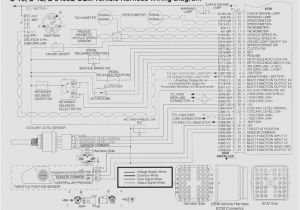 Cat 70 Pin Ecm Wiring Diagram Pdf C15 Ecm Wiring Diagram Wiring Diagram Dash Cat 70 Pin Ecm Wiring Diagram Pdf C15 Ecm Wiring Diagram Wiring Diagram Dash