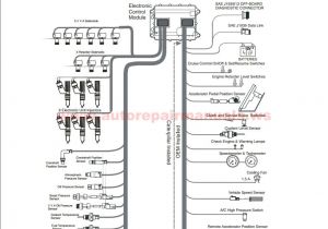 Cat 70 Pin Ecm Wiring Diagram Pdf Cat C7 Ecm Wiring Diagram Wiring Diagram Cat 70 Pin Ecm Wiring Diagram Pdf Cat C7 Ecm Wiring Diagram Wiring Diagram