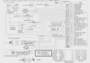 Cat C15 Injector Wiring Diagram Caterpillar C 15 Wiring Harness Wiring Diagram Cat C15 Injector Wiring Diagram Caterpillar C 15 Wiring Harness Wiring Diagram