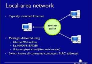Cat Wiring Diagram Cat 5 Wiring Diagram B Wds Wiring Diagram Database Cat Wiring Diagram Cat 5 Wiring Diagram B Wds Wiring Diagram Database