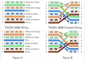 Cat5 Crossover Cable Wiring Diagram Cat5 Wire Diagram 568a Wiring Diagram Centre Cat5 Crossover Cable Wiring Diagram Cat5 Wire Diagram 568a Wiring Diagram Centre