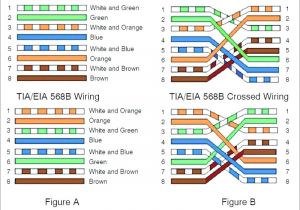 Cat5 Crossover Cable Wiring Diagram Cat5 Wire Diagram 568a Wiring Diagram Centre
