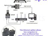 Cat5 Female Connector Wiring Diagram Rj45 Splitter Diagram Blog Wiring Diagram Cat5 Female Connector Wiring Diagram Rj45 Splitter Diagram Blog Wiring Diagram