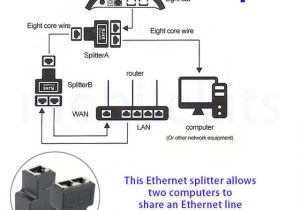 Cat5 Female Connector Wiring Diagram Rj45 Splitter Diagram Blog Wiring Diagram Cat5 Female Connector Wiring Diagram Rj45 Splitter Diagram Blog Wiring Diagram