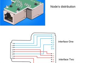 Cat5 Female Connector Wiring Diagram Rj45 Splitter Diagram Blog Wiring Diagram Cat5 Female Connector Wiring Diagram Rj45 Splitter Diagram Blog Wiring Diagram