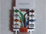 Cat5 Female Connector Wiring Diagram Yb 0300 Wiring Diagram Cat5 Wall Jack Free Diagram Cat5 Female Connector Wiring Diagram Yb 0300 Wiring Diagram Cat5 Wall Jack Free Diagram
